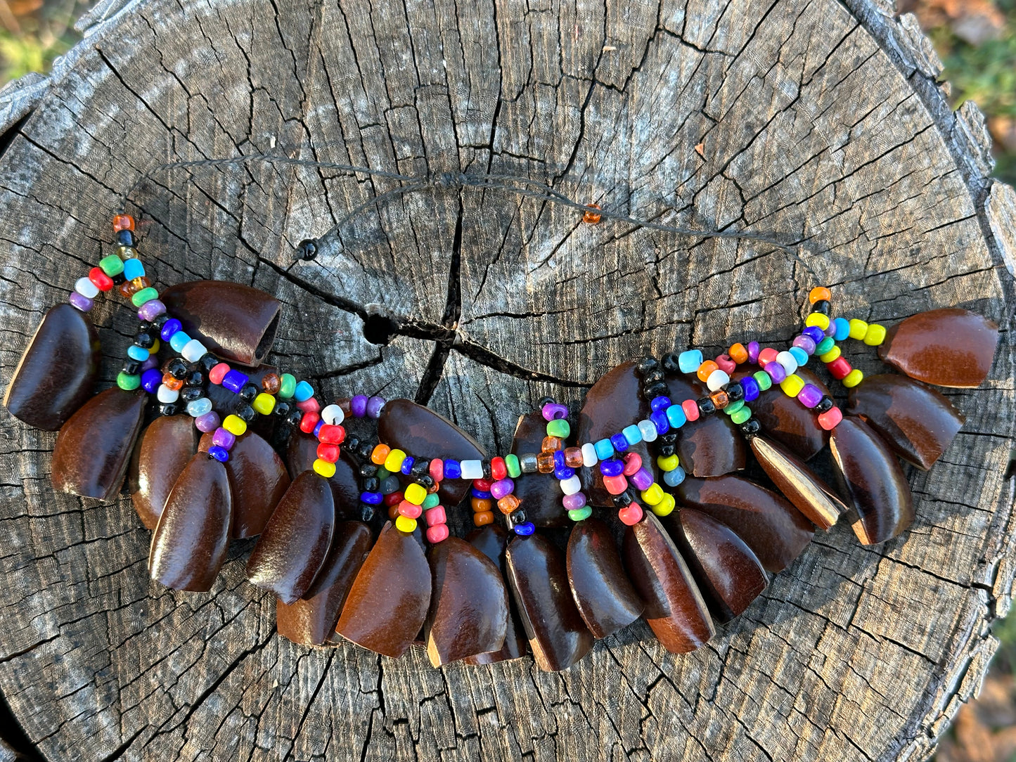 Colombian Cascabel Seed Anklet (Dancing Shaker)