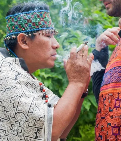 peruvian tobacco mapacho Mi Rolls | Brazil | Nicotiana Rustica Northern Earth for stabilizing energy of the ground Shipibo Mapacho Pipe with Jaguar,