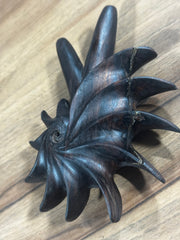 Fibonacci Spiral Kuripe