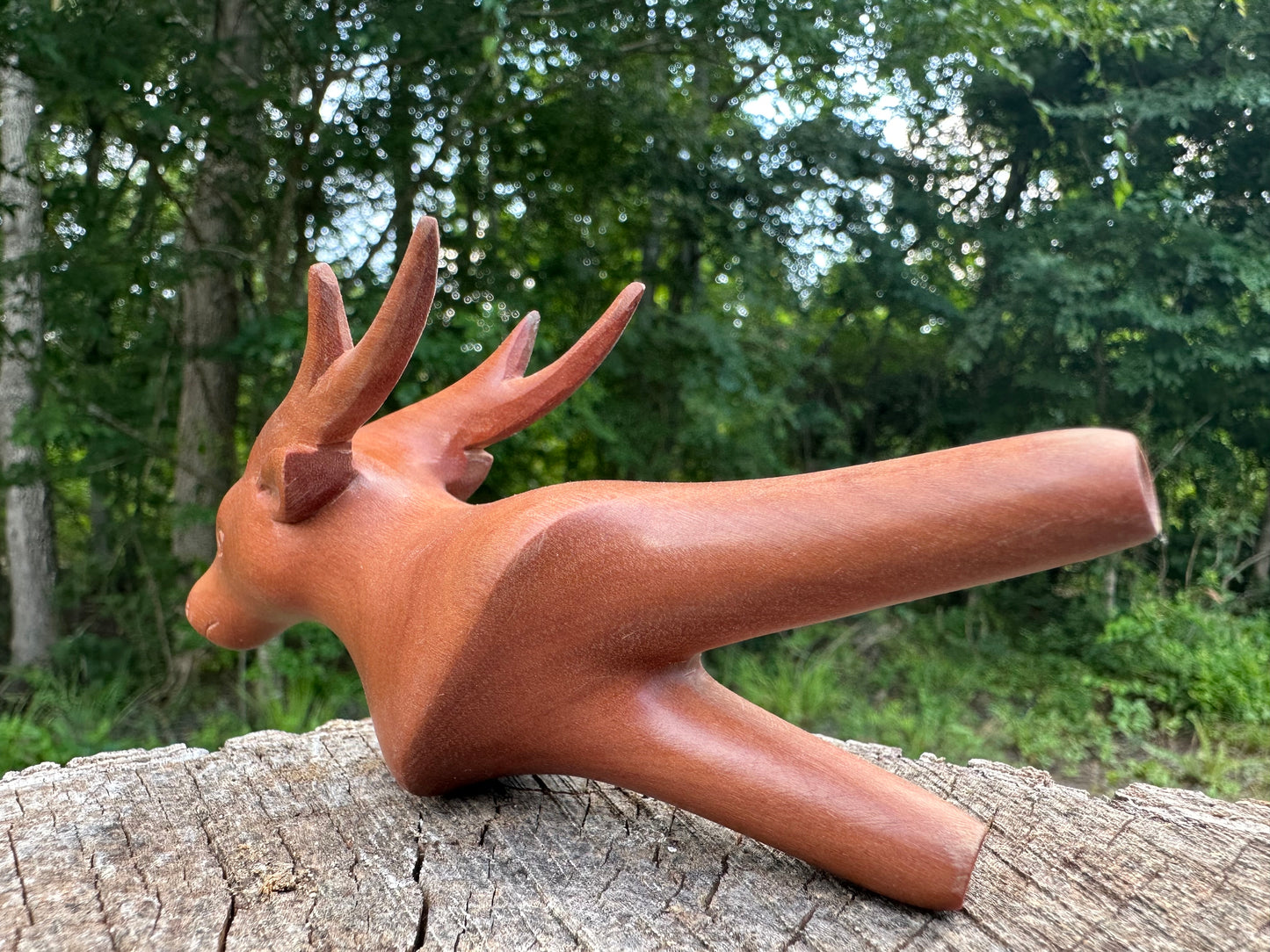 Deer kuripe