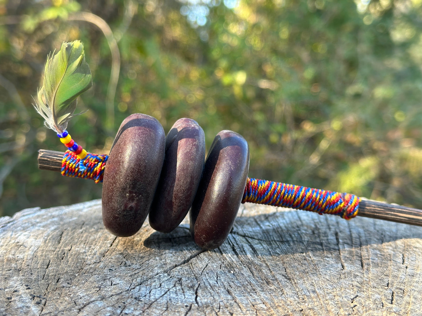 Colombian Entada Seed Shamans Rattle