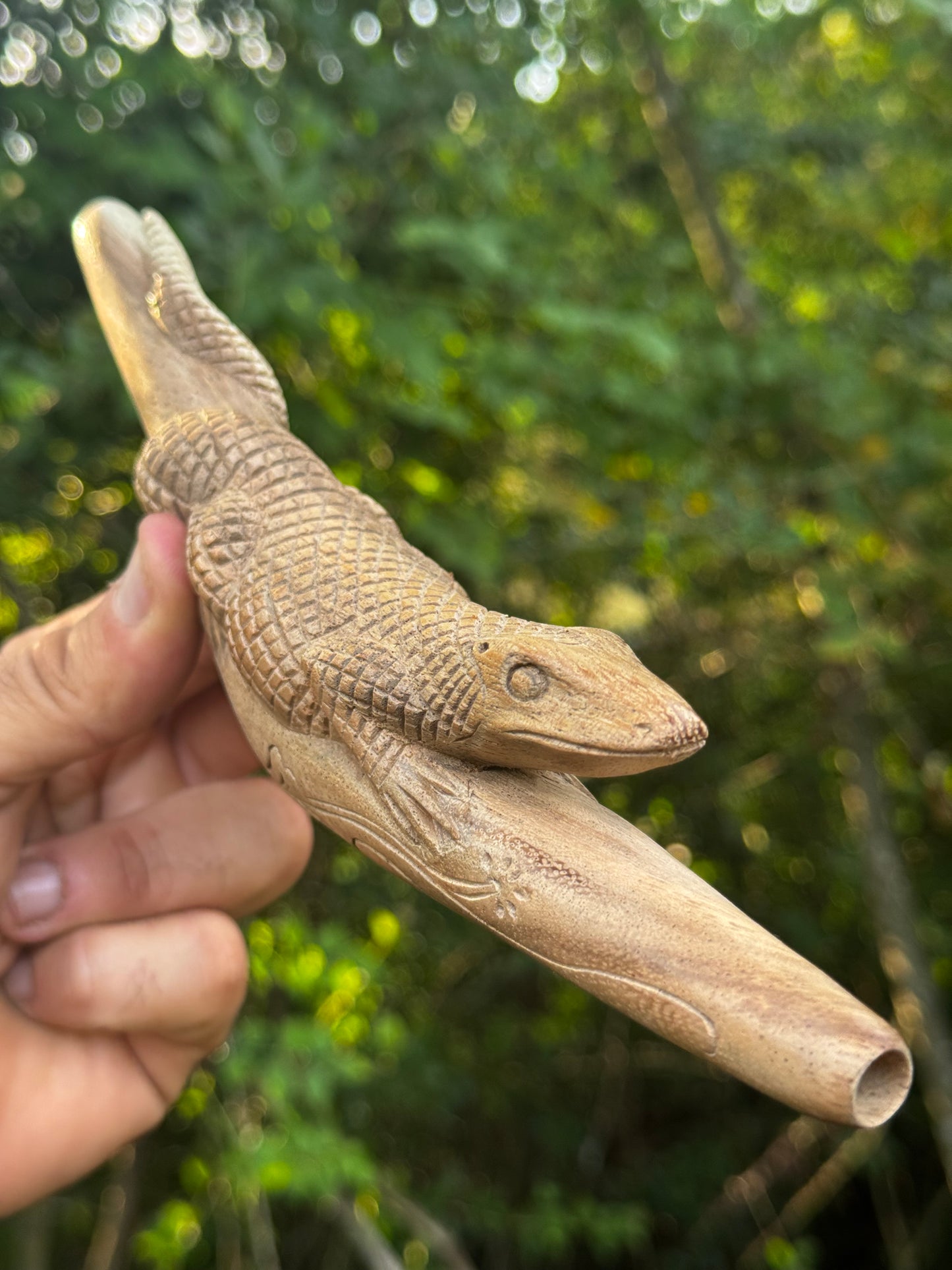 Cocodrilo Tepi