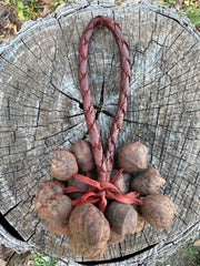 Colombian Pala Seed  Wrist Shaker