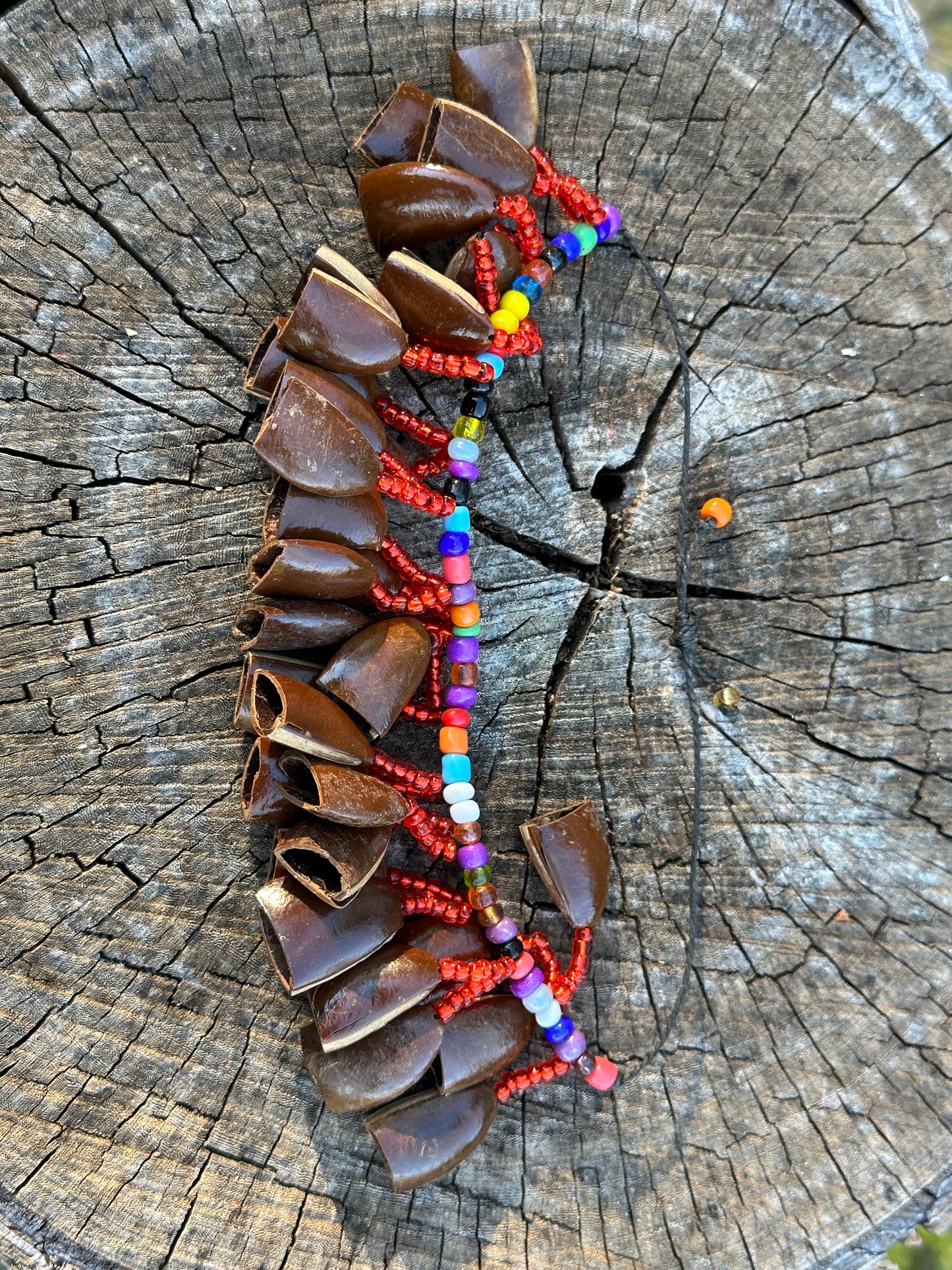 Colombian Cascabel Seed Anklet (Dancing Shaker)