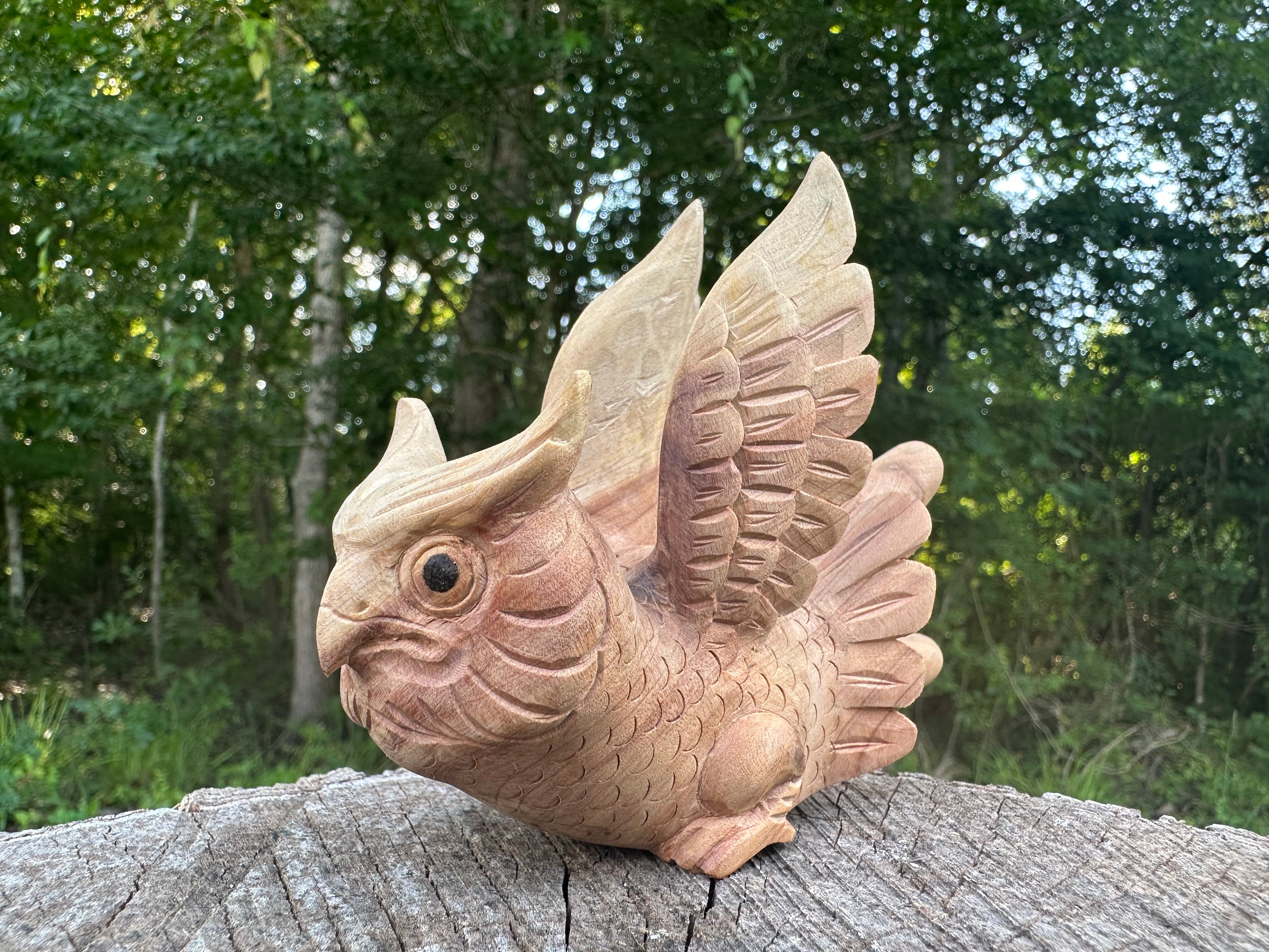 Owl flying 🦉 Kuripe