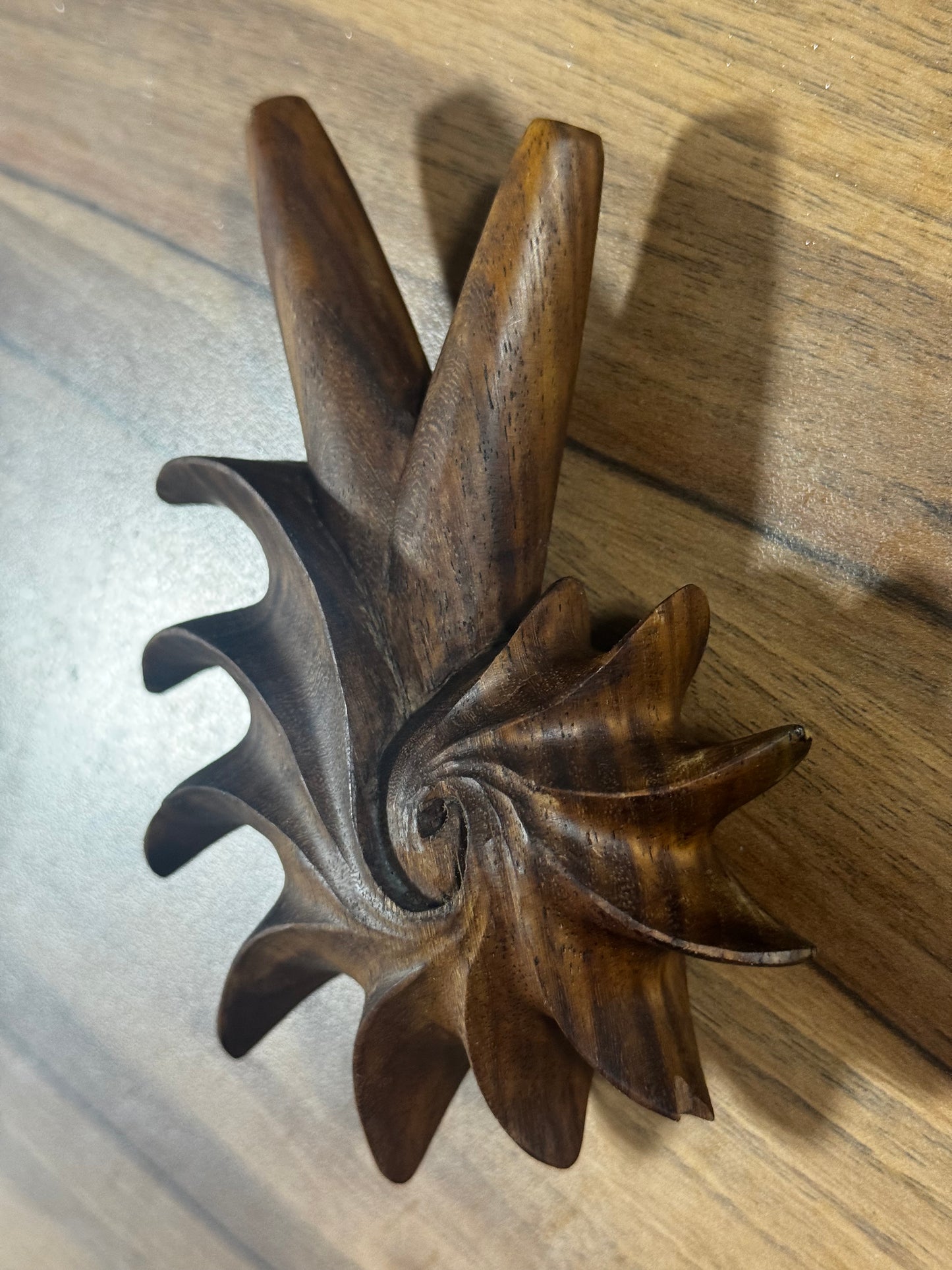 Fibonacci Spiral Kuripe