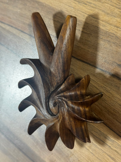 Fibonacci Spiral Kuripe