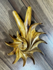 Fibonacci Spiral Kuripe ($50 off DISCOUNTED - Scratch and Dent)