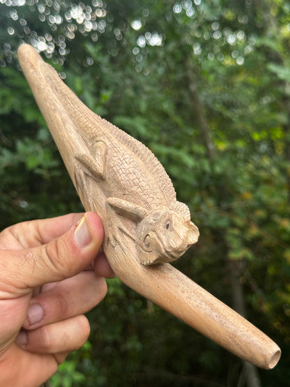 Iguana lizard Tepi