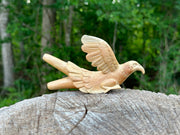 Eagle Águila 🦅 kuripe