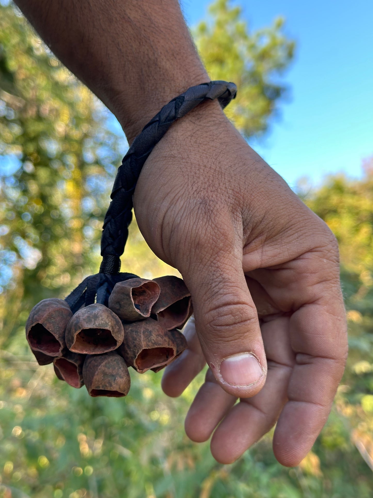 Colombian Pala Seed  Wrist Shaker