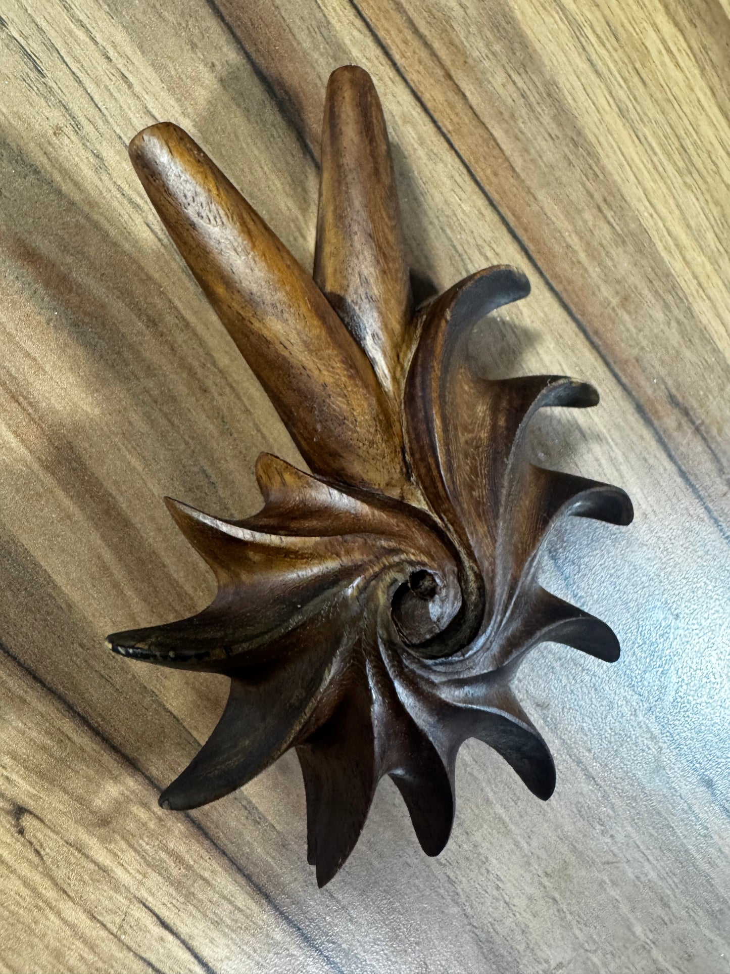 Fibonacci Spiral Kuripe