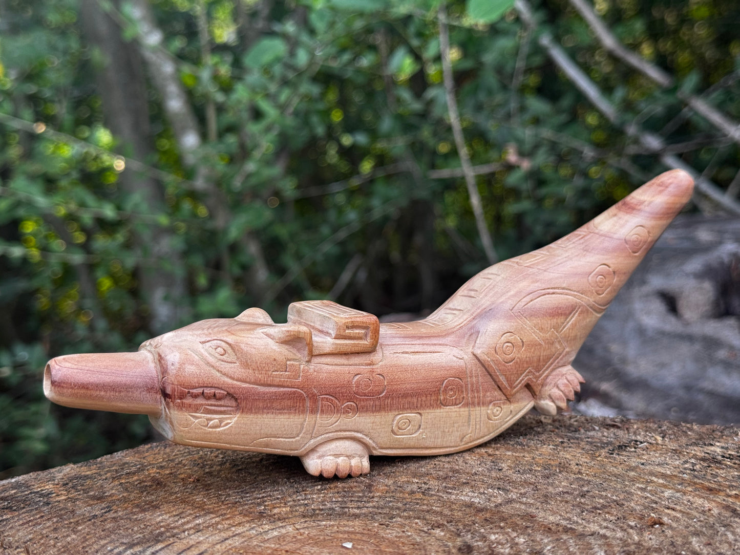 Onca Mayan Jaguar Tepi