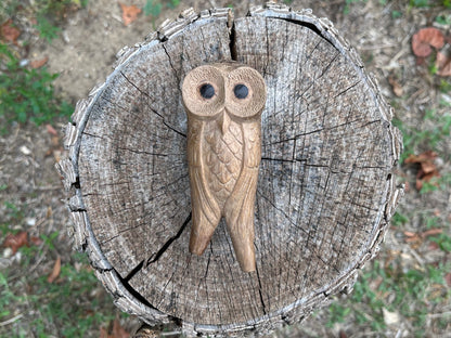 Owl perched Kuripe