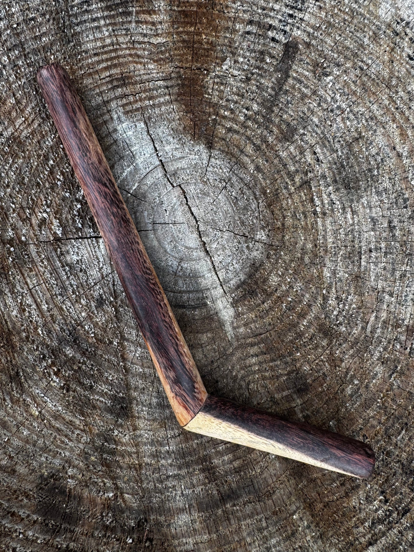 Tepi simple de una sola fosa nasal