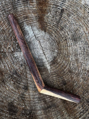 Tepi simple de una sola fosa nasal