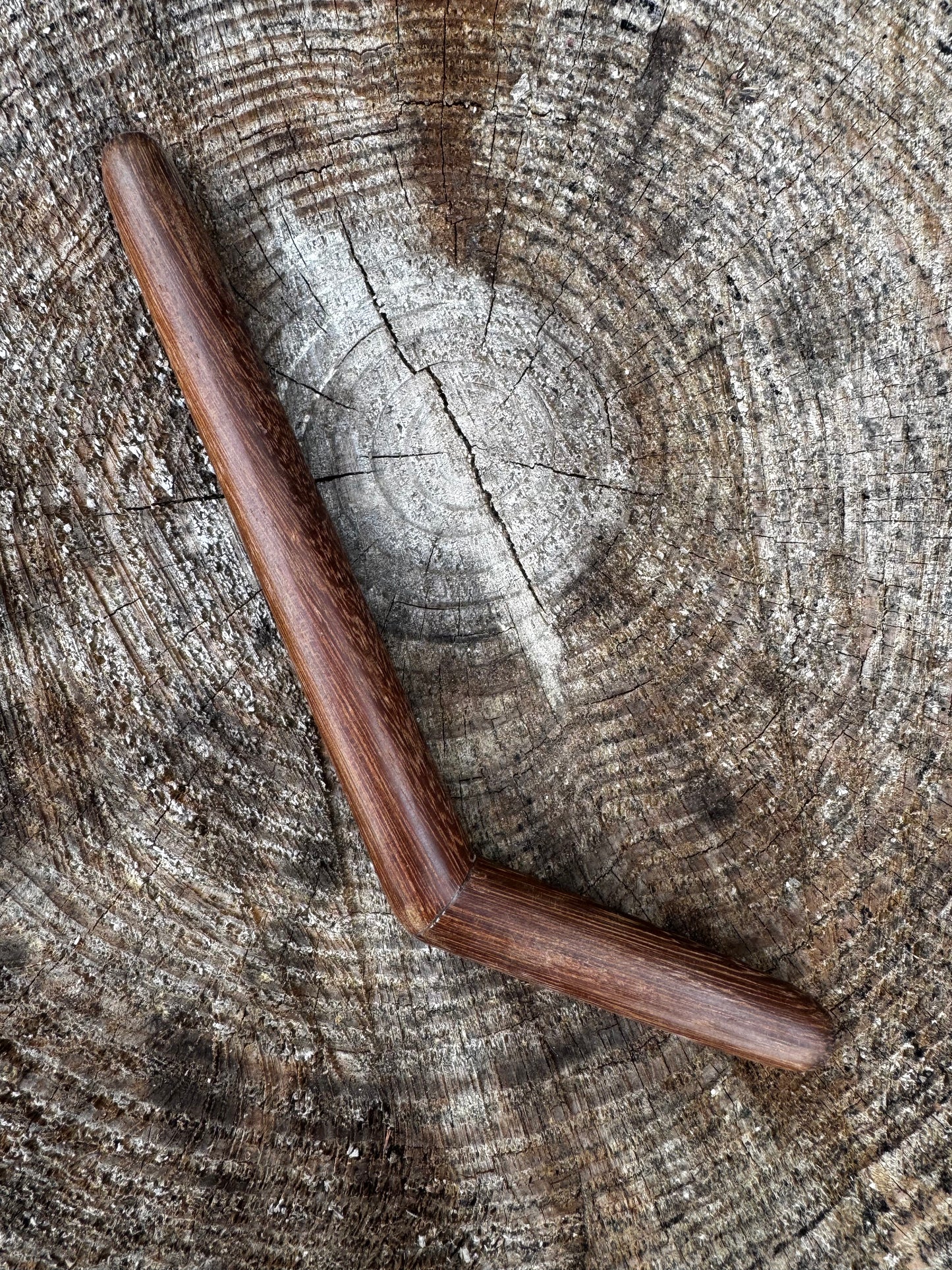 Tepi simple de una sola fosa nasal