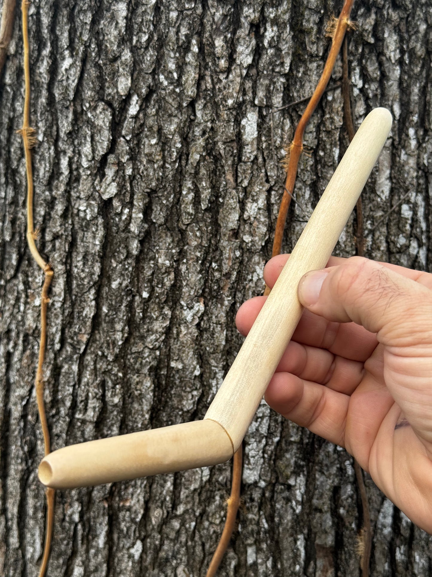 Tepi simple de una sola fosa nasal