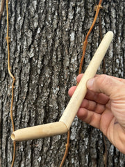 Tepi simple de una sola fosa nasal