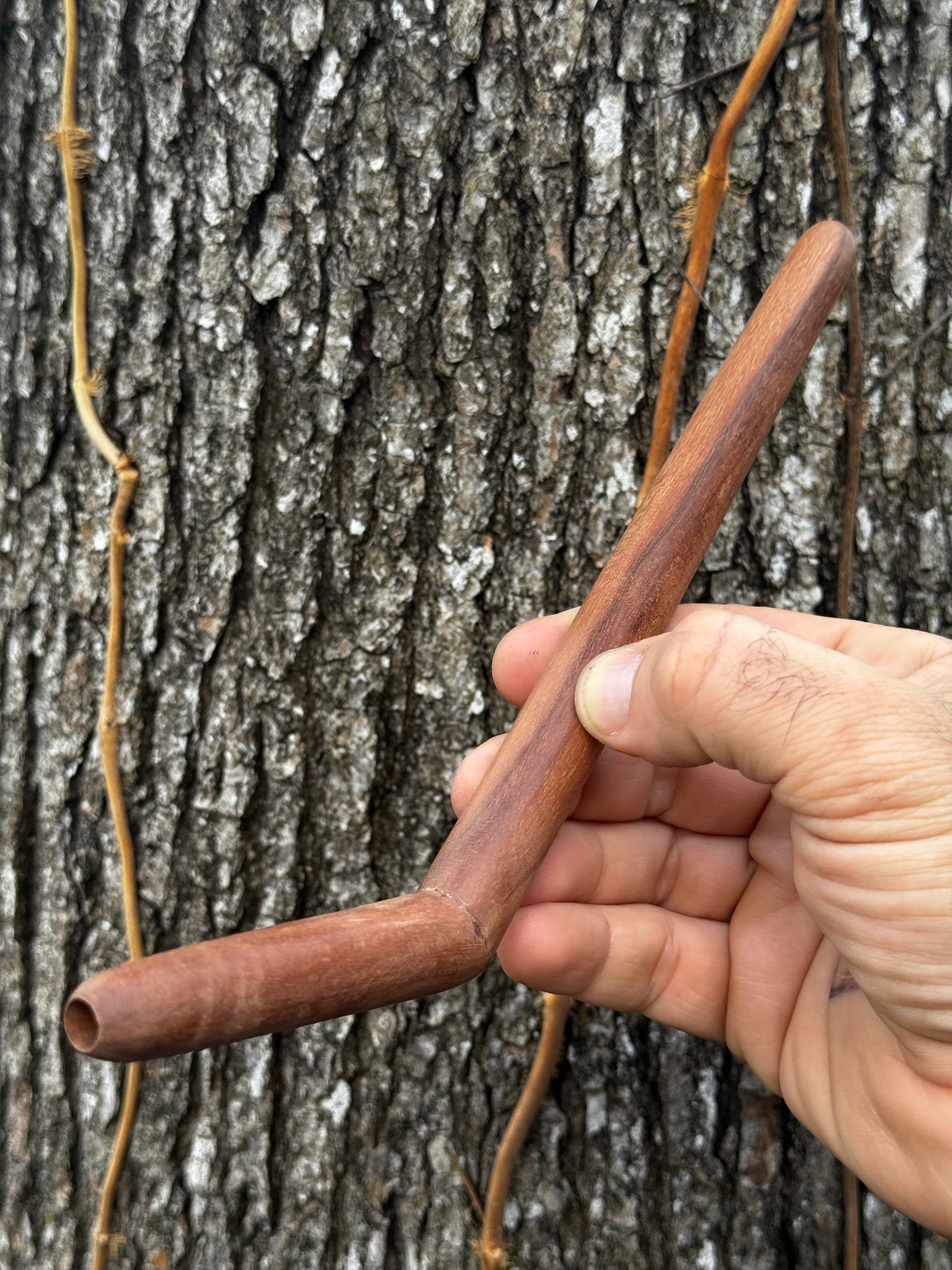 Tepi simple de una sola fosa nasal