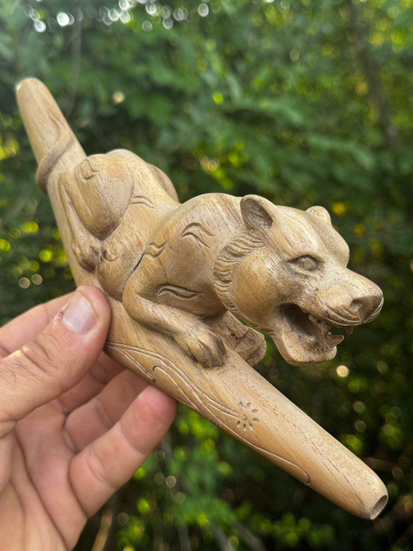 Jaguar Tepi