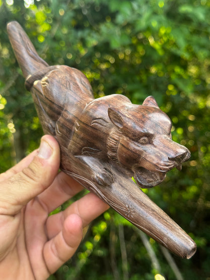 Jaguar Tepi