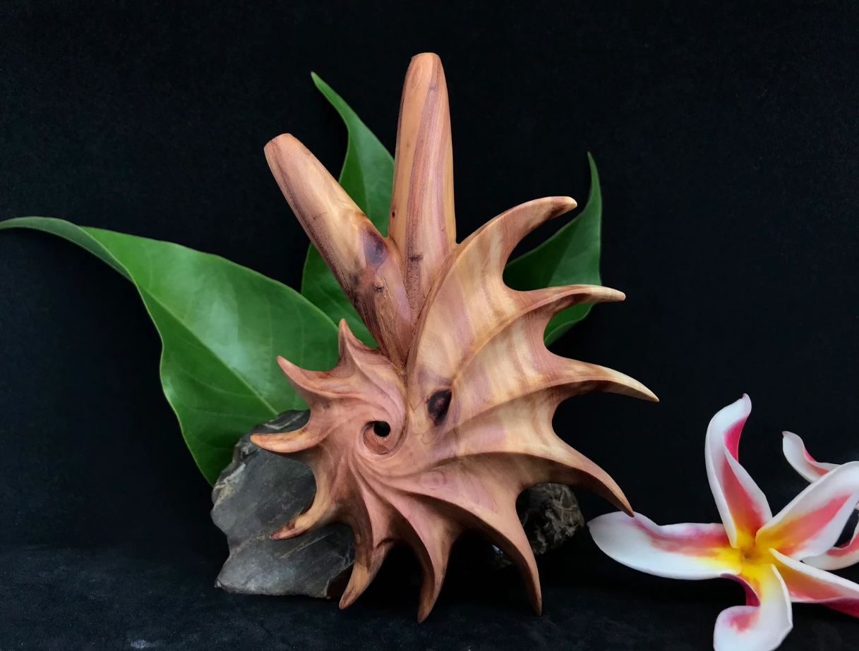 Fibonacci Spiral Kuripe