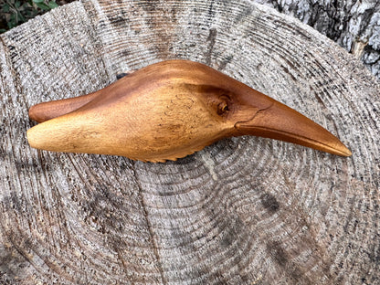 Hummingbird Head Kuripe