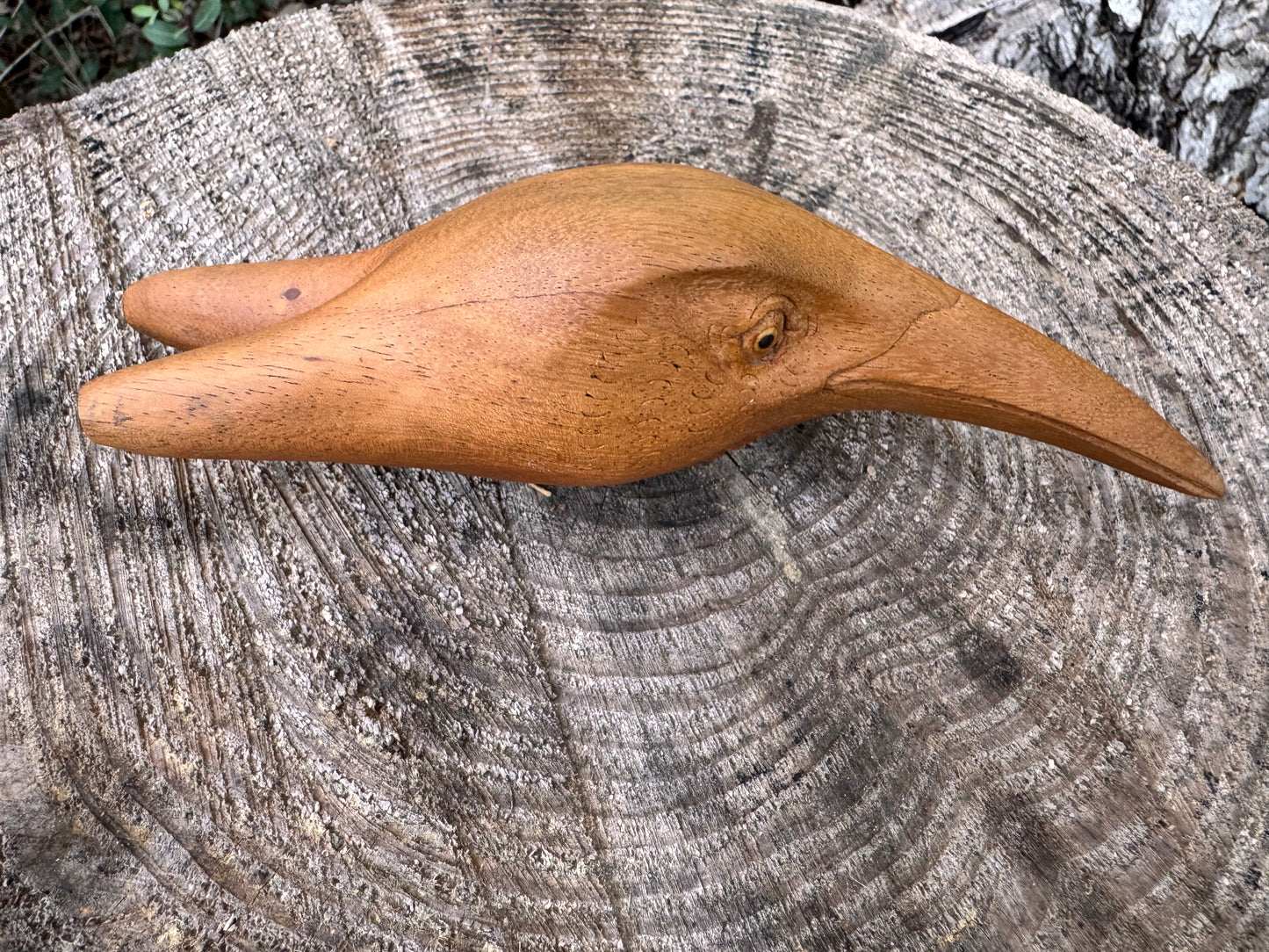 Hummingbird Head Kuripe