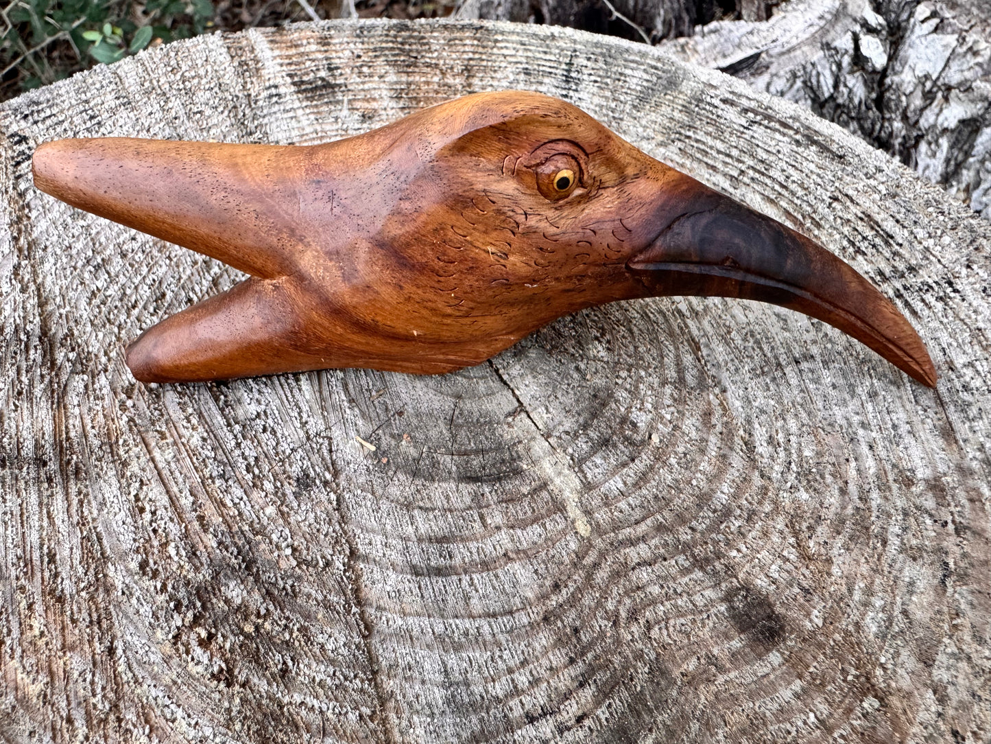 Hummingbird Head Kuripe