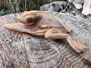 Kambo Frog Kuripe