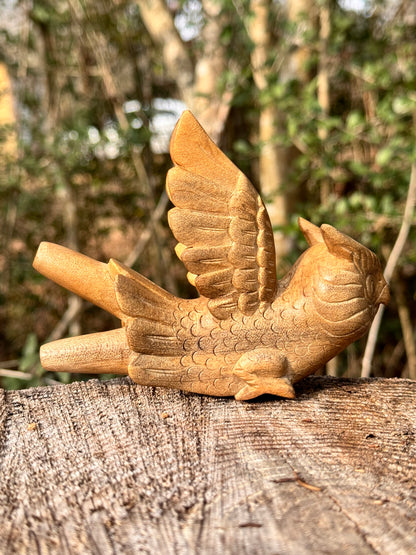 Owl flying 🦉 Kuripe