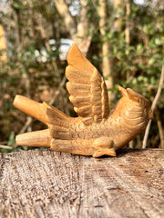 Owl flying 🦉 Kuripe