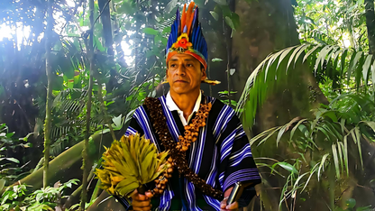 Colombian Waira/ Chacapa - Shamanic Leaf Rattle