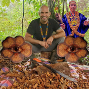 Ayahuasca Yagé Vine - microdose drops