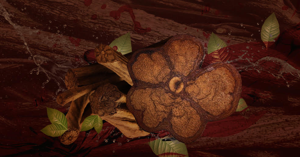 AYAWASKA Hapé - Tribu Katukina *Edición Limitada*