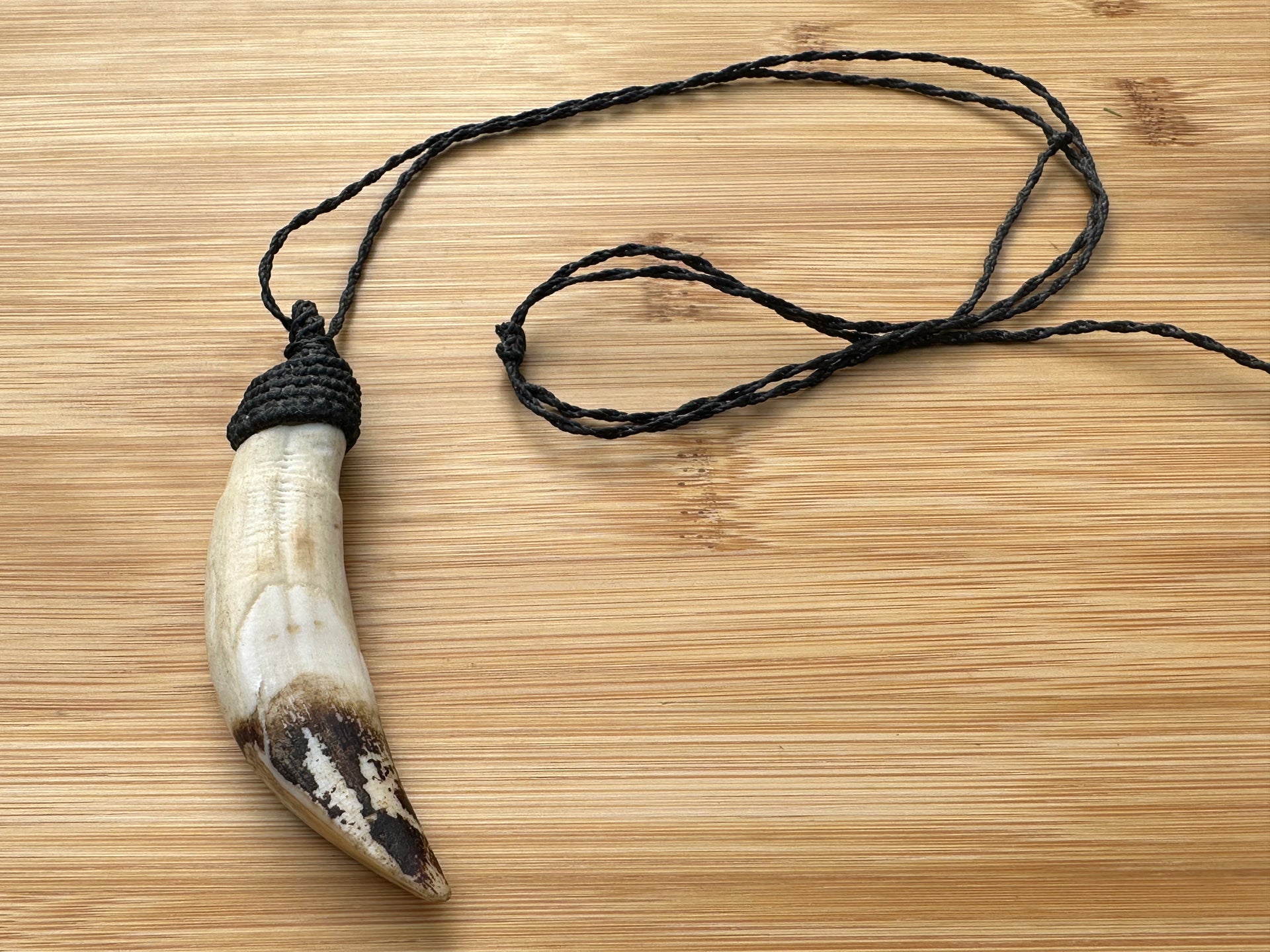 Shaman necklace woven in macrame deals thread and natural sea lion tooth