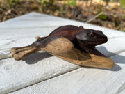 Kambo Frog Kuripe