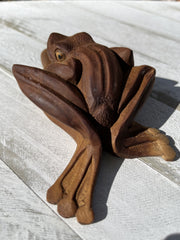 Kambo Frog Kuripe