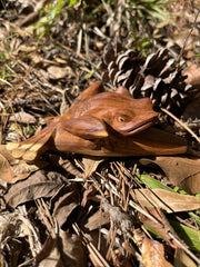 Kambo Frog Kuripe
