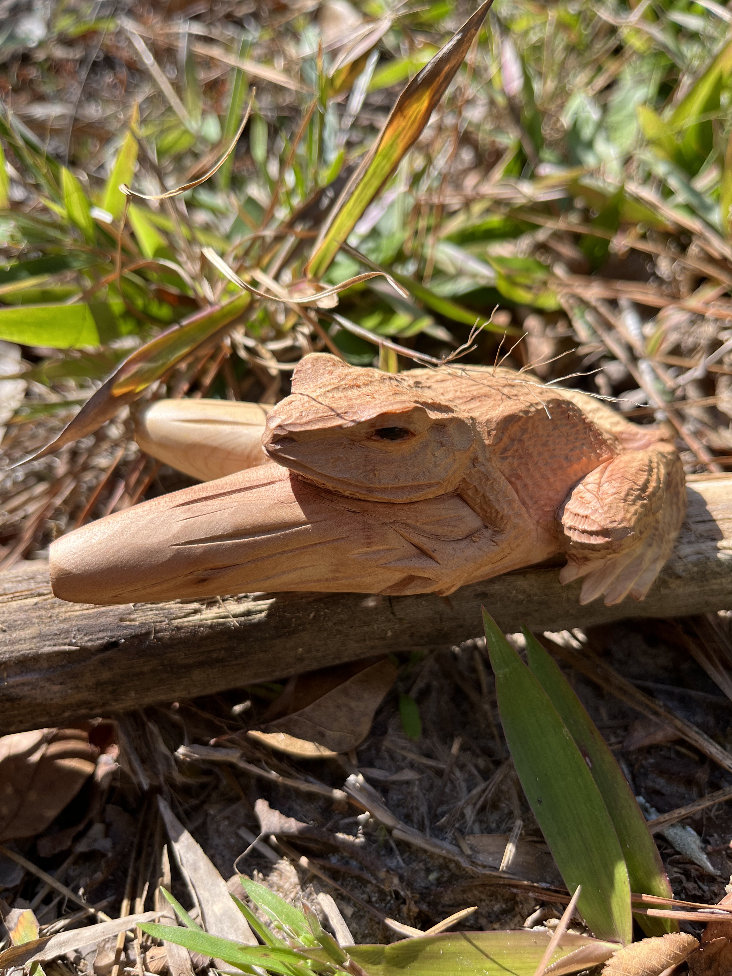 Bufo Toad Kuripe (self applicator for hapé/rapé snuff)