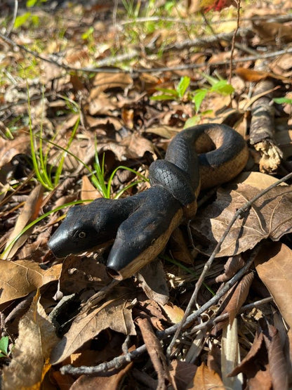 Double headed Snake Kuripe (self applicator for hapé/rapé snuff)