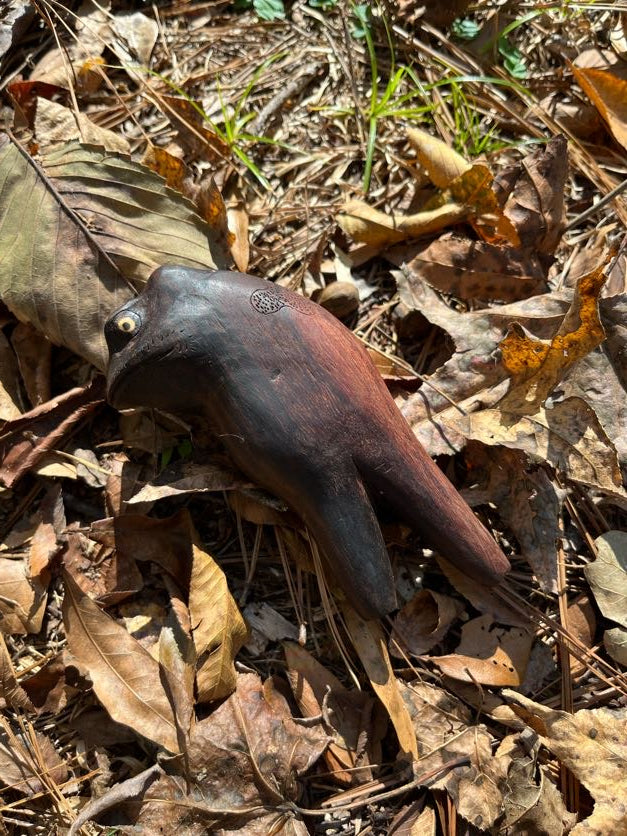Kuripe cabeza de sapo